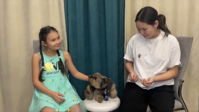 Мое собачье дело_Йорк