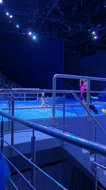 Москвариум шоу