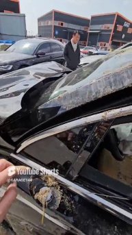 Битки из Ю.Кореи Kia Sorento 2020.