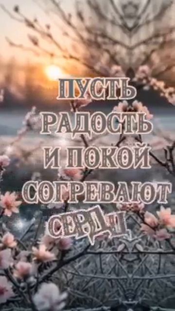 Уютного вечера