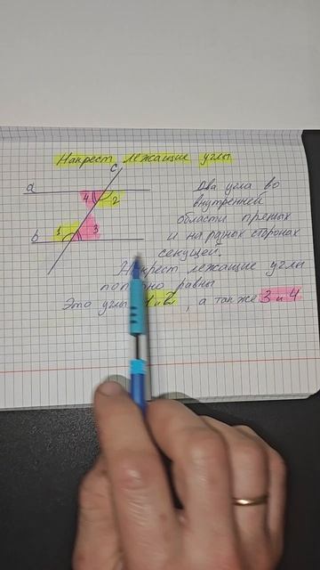 Накрест лежащие углы попарно равны. Геометрия седьмой класс