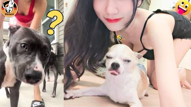 СЛИШКОМ СМЕШНЫЕ ПИТОМЦЫ 2025 😂  🐶 СОБАКИ И КОШКИ 🐱 Постарайтесь не смеяться!!