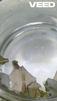 Лавровый лист (пищеварение и суставы) #суставы #народнаямедицина