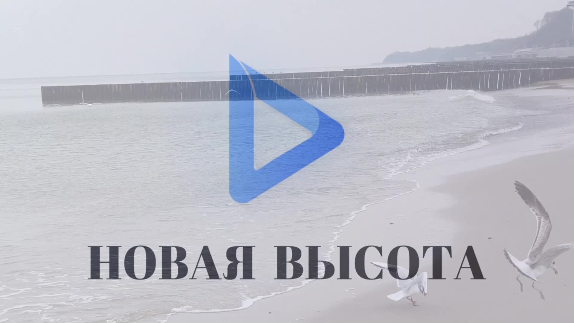 Светлогорск I Калининградская область