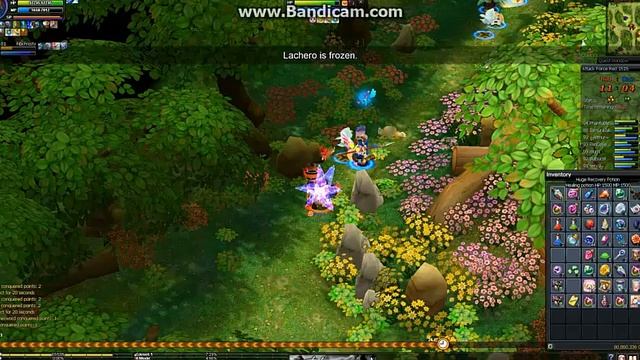 RAINBOW BATTLE Nostale [WIN]