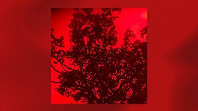Satori Rewire & Constrobuz - Select Aircraft ft. Sirius A