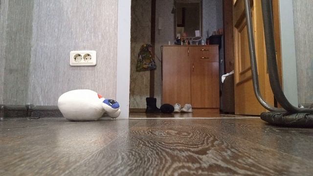 1000016560.mp4