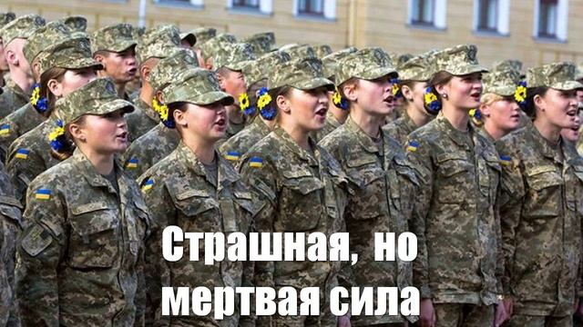 Страшная, но мертвая сила. Юрий Подоляка - Война на Украине