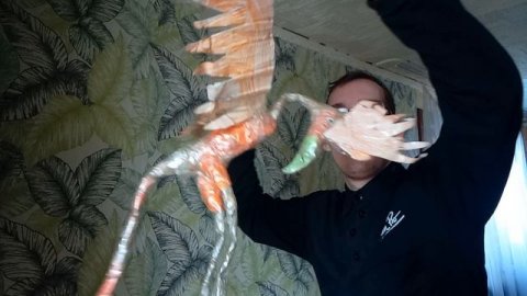 1000113975 Цаплязавр