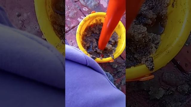 если вы хотите вторую часть то пишите сразу же когда посмотрите это видео
