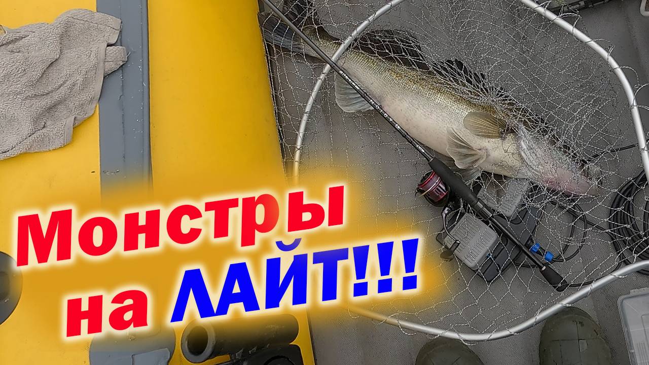 ВОТ ЭТО ПОКЛЁВКИ И ВЫВАЖИВАНИЕ!!! ЖЁСТКИЙ ТЕСТ СПИННИНГА CF Arion ASRE802LT 4—16гр.!!!