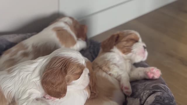 Месяц малышам 💗