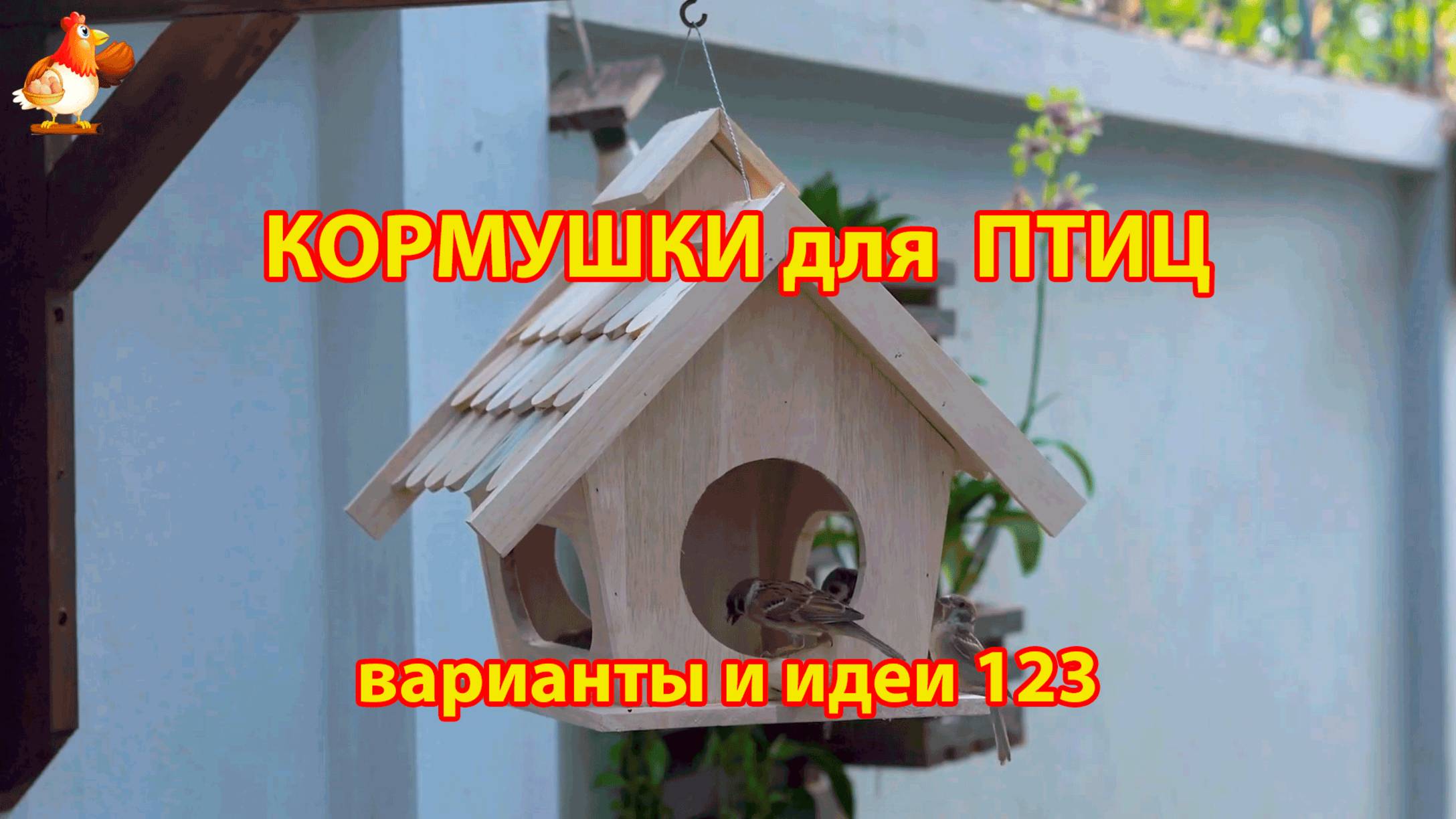 Кормушка для птиц своими руками как сделать пошагово  (123) 🪚🪛🔨 Идеи для дачи и сада❣️