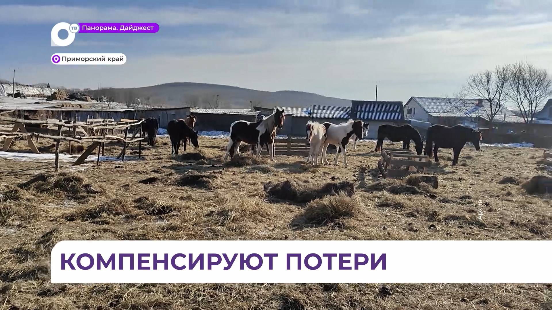 Пострадавшим от действий тигра жителям Приморья компенсируют ущерб