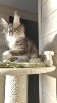 VID20250320174218.mp4