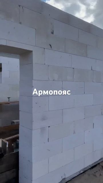 Армопояс на базе🫡