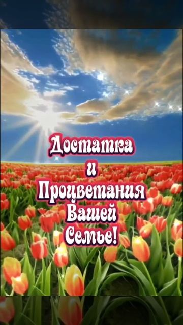 20.03.25 С Днём Весеннего Равноденствия 🌞🌞🌞