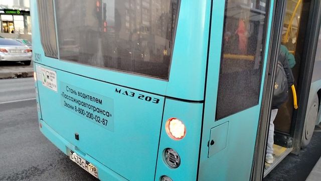 19 марта 2025 Автобус 328 маршрут МАЗ-203 8291 Колпино Тверская Улица Угол Улица Ижорского Батальона