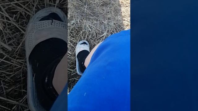 VID_20250319_101642.mp4