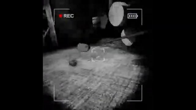 Almost 20 mins of Content Warning camera footage