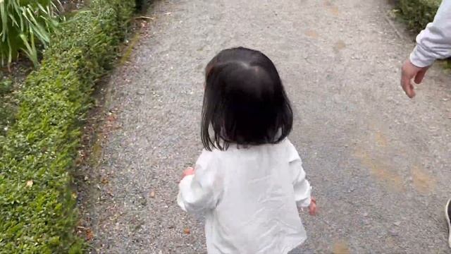 Spring time in NZ | Botanical Garden | Family Time | Toddler | OFW | Pinoys in NZ
