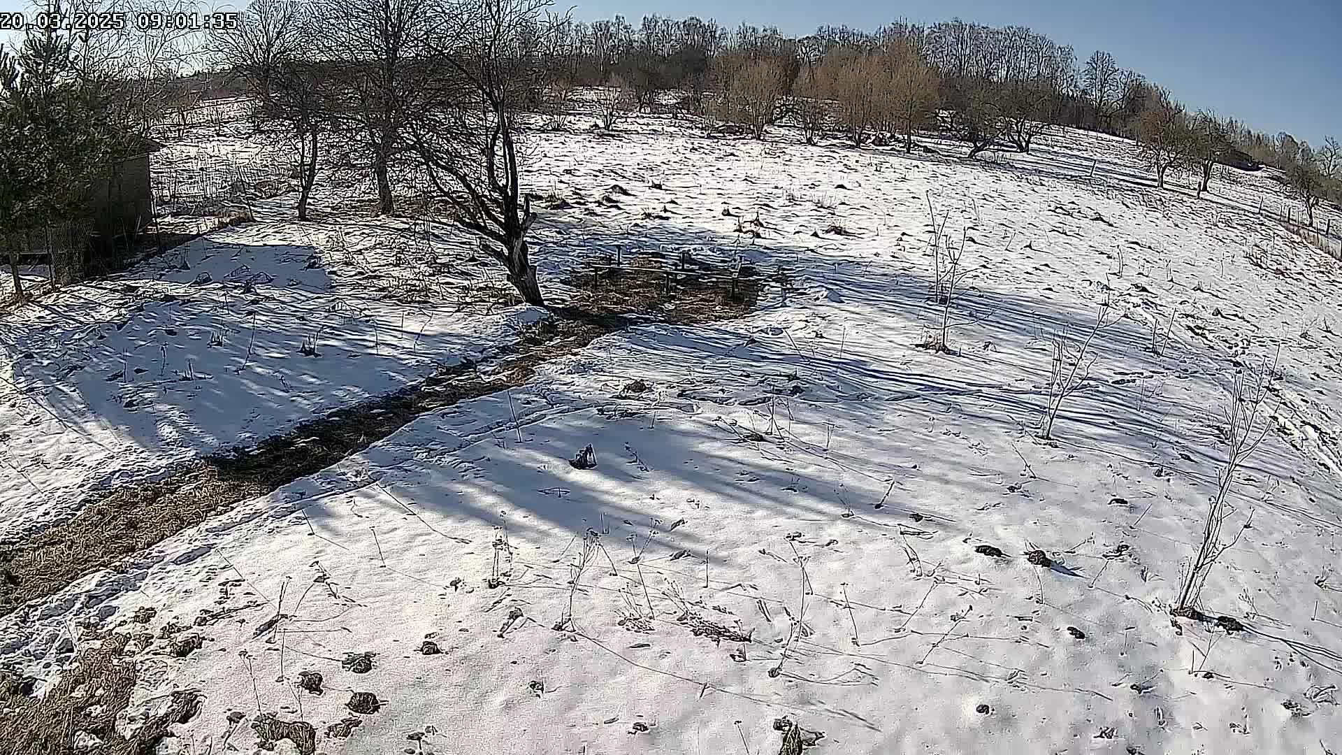 Постройка ограждения