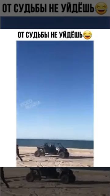 догнала.mp4