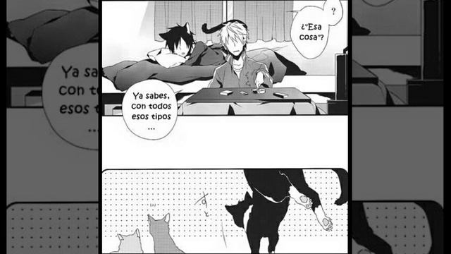 [ Doujinshi Shizaya ] 13Nyan (Español)