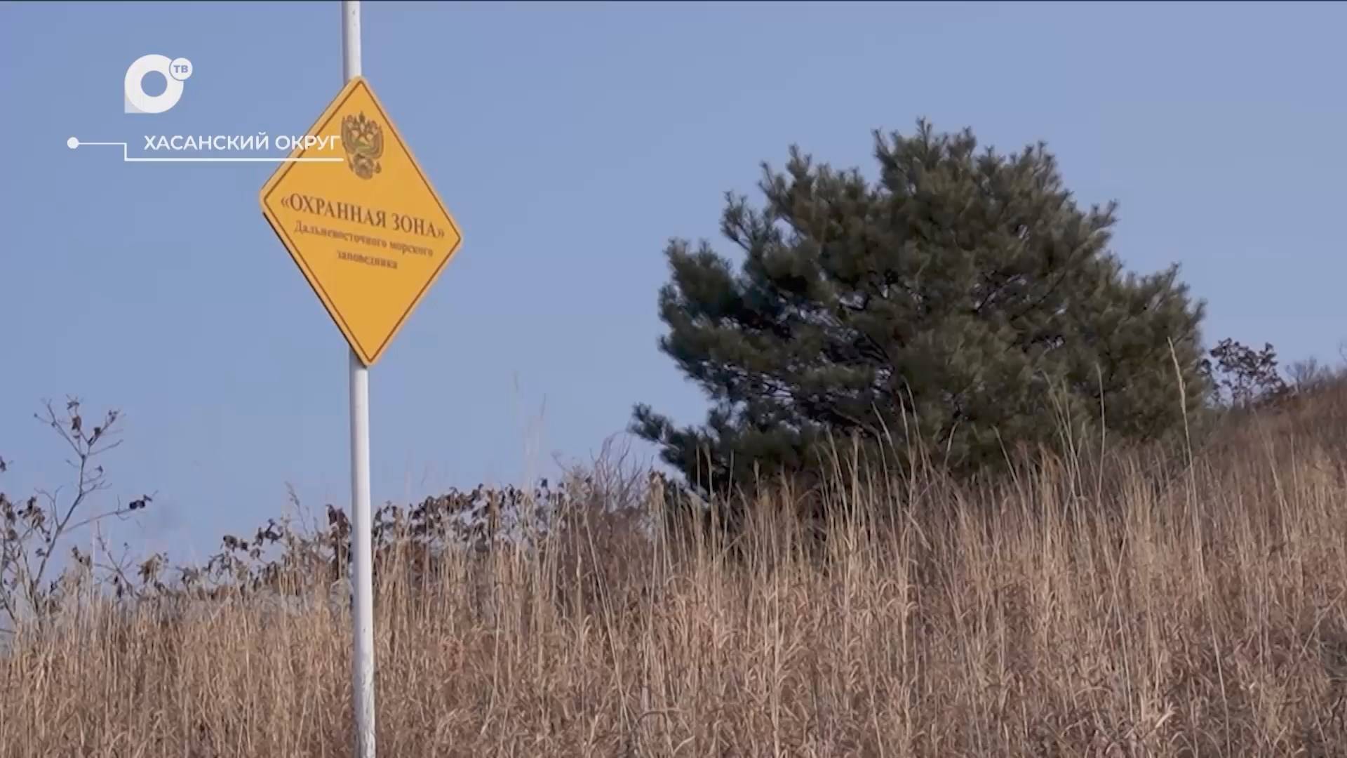 Разведка блогом / Орлинка / 20.03.25