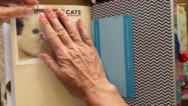Little Golden Book Junk Journal Flip Thru The Shy Little Kitten