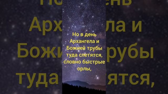 Ночное небо