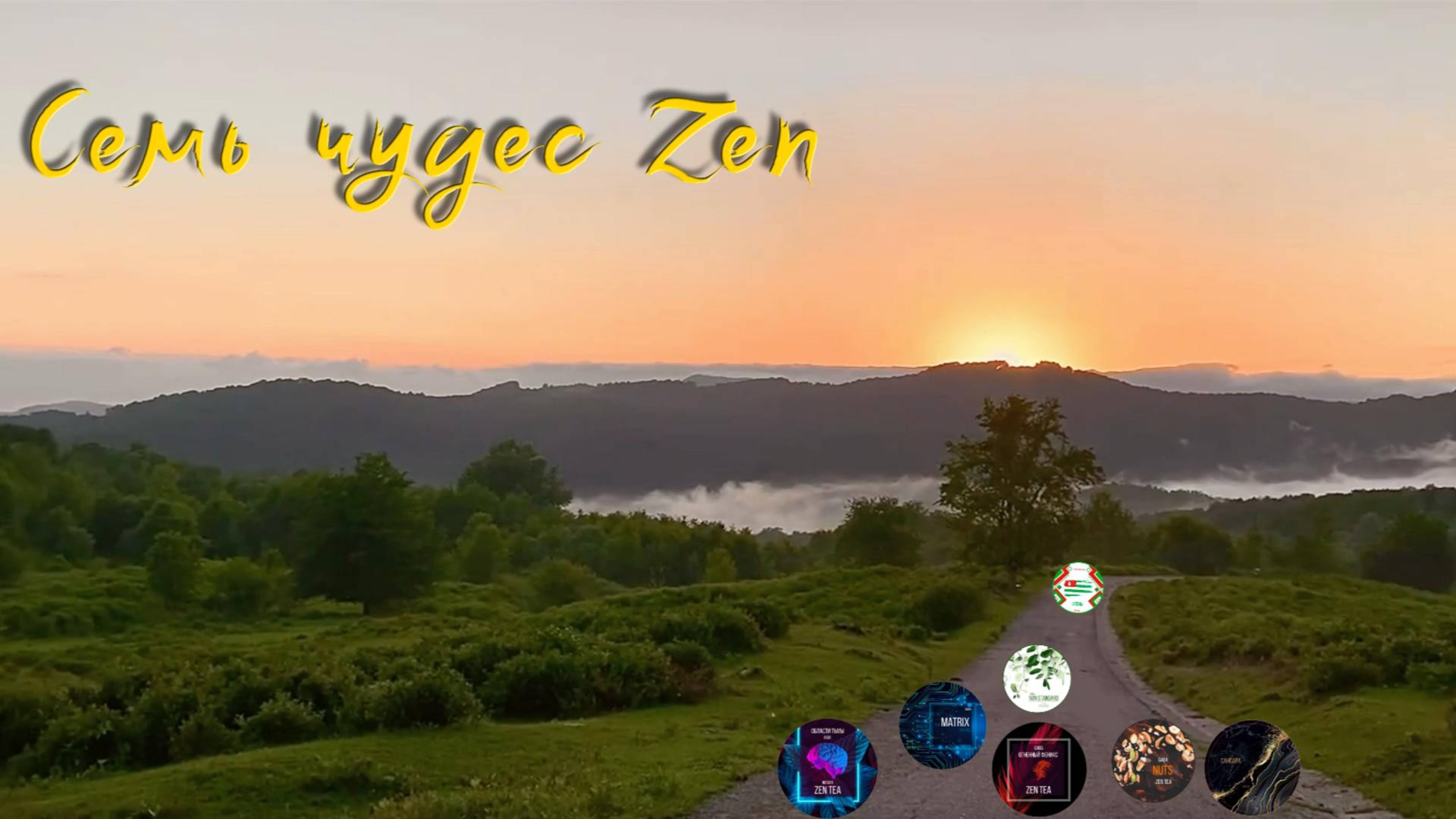 #знакомство с чайным проектом Zen tea | Премиальный сочинский чай