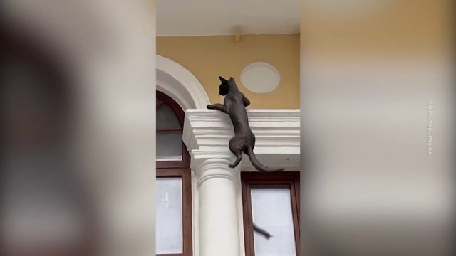 Нижегородский нейрохудожник Игорь Иванов представил новую работу с ожившими городскими скульптурами