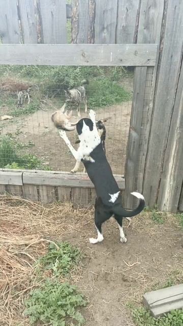 Привет, соседи)