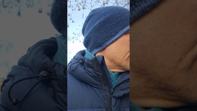 Стоит ли пить соки? Любые.