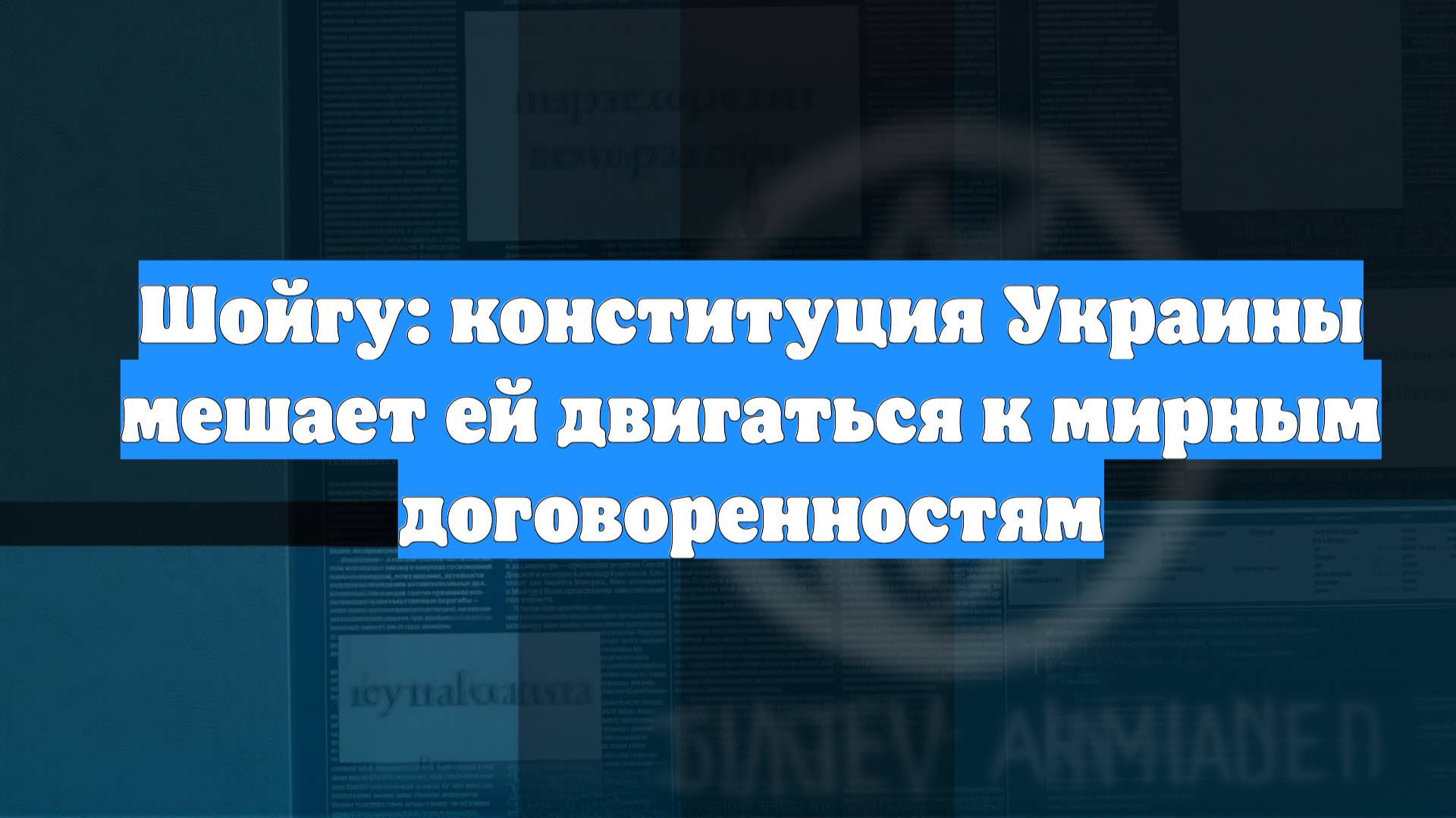 Шойгу: конституция Украины мешает ей двигаться к мирным договоренностям