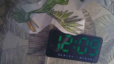 смотри в часы цаплязавр