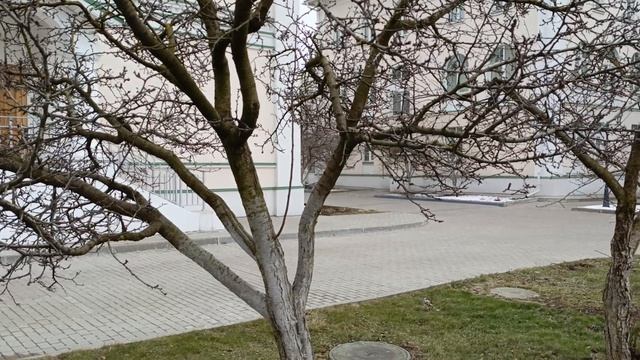 Старо - Голутвин монастырь. Краткий обзор.