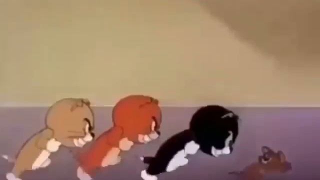 дынька