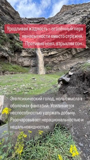 Жадность