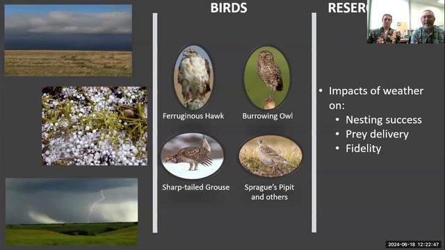 The Royal Saskatchewan Museum – a hub of prairie research and collections