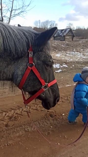 Встречаем из садика сына