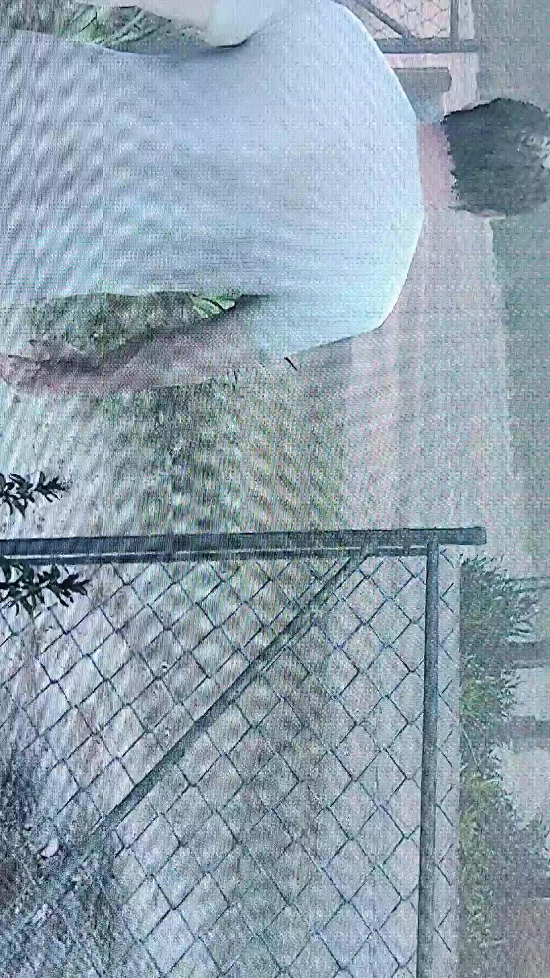 858
