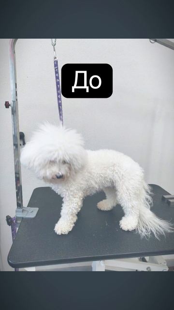 До после