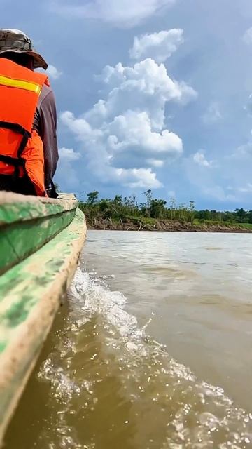 Private and Guided Boat Tours in Iquitos, Peru #travel #iquitosperu #adventure