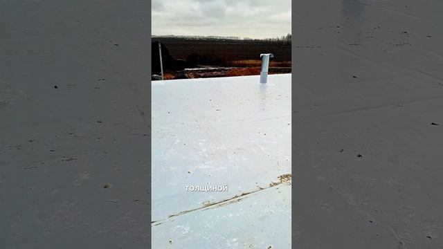 птицефабрика.mp4