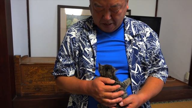 激おこ子猫と清原。#28
