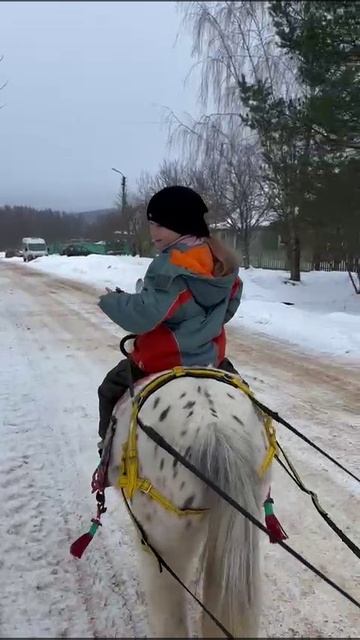 Ученики Horse Familу