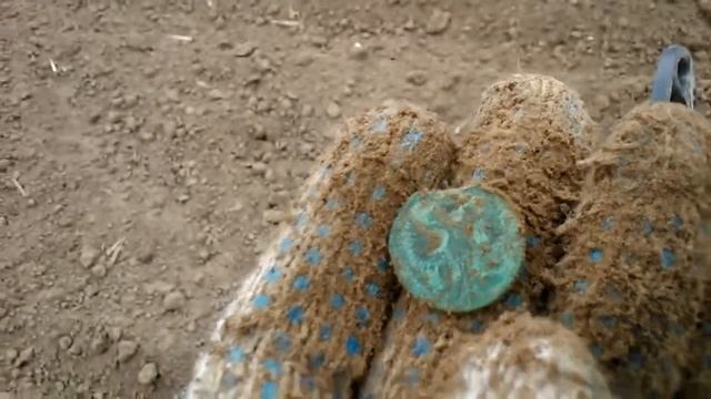 В поисках клада! Коп монет по новым местам.