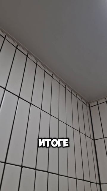 scene_output.mp4